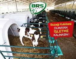 Buzagi Kulubesi Olmayan Isletme Kalmasin Urunumuz Hakkinda Bilgi Almak Ve Satin Almak Icin Iletisim 0 332 345 20 46 Donmazsuluk B Buzagi Ciftci Tarim