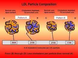 Ldl Particles Google Search Content