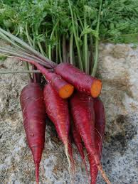 Maybe you would like to learn more about one of these? Exotic Vegetables And Herbs Hgtv