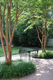 Crepe Myrtle Underplanted With Liriope Outdoor Gardens Walkway Landscaping Landscaping Around Trees