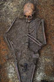 View the top 3 vitamins for bones of 2021. Taphonomy What Happens To Bones After Burial Bones Don T Lie