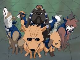 Kakashi S Ninken Naruto Anime Anime Naruto Kakashi Dogs