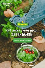 Pin On Ads In 2020 Summer Vegetables Garden Garden Harvest Starting A Vegetable Garden