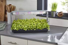 You choose between 4 color temperatures of light output: Best Grow Lights For Seedlings Reviews Complete Buyer S Guide