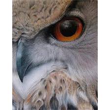 Maybe you would like to learn more about one of these? Burung Hantu Posts Facebook
