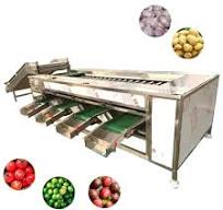 Peeled Garlic Color Sorter Machine Coffee Bean Color Sorter Colour Sorter  Machine
