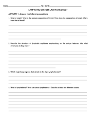 Lymphatic System Lab Worksheet Answers Fill Online Printable Fillable Blank Pdffiller