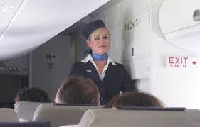 In blu, la rotta che l'aereo avrebbe dovuto seguire; L Assistente Di Volo Nei Jet Privati