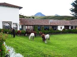 Maybe you would like to learn more about one of these? Hacienda Santa Ana Santa Ana Del Pedregal Book Top Grade Hotels On Hotelfriend