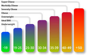 risk of obesity charts and posters hubpages