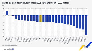 How can European countries slash their gas consumption? | Europe | News and current affairs from around the continent | DW