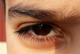 Pin By Wasifa Sadiyah On Nᴜʍaɴ Bɛaytɪғyʟ Brown Eyes Aesthetic Aesthetic Eyes Pretty Eyes