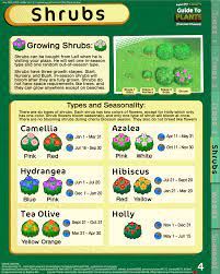 Pin On Animal Crossing Game