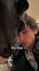 7 Ft Tall Guy and Great Dane