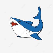 Orca 3d model great white shark | cgtrader. Cute Cartoon Great White Shark Clipart Hand Drawn Shark Clipart Shark Clip Art Animal Png Transparent Clipart Image And Psd File For Free Download