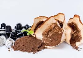 Diesen aufrecht auf die blumenerde neben die. Kaffeesatz Universelles Hausmittel Dunger Und Fur Einiges Mehr