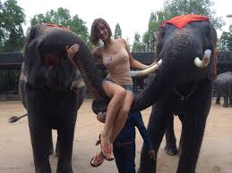 Elephant riding Foto Pornô - EPORNER