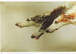 The Great Borzoi Controversy American Kennel Club