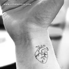 We did not find results for: Little Tattoos Anatomical Heart Outline Temporary Tattoo Get It