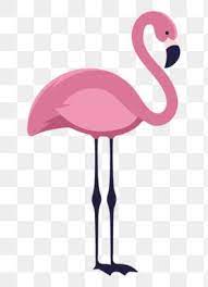 Standing Flamingo Illustration Flamingo Clipart Flamingo Animal Png And Vector With Transparent Background For Free Download Flamingo Illustration Print Design Template Free Graphic Design