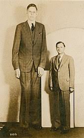 List of tallest people - Wikipedia