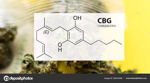 Cannabigerol Cbg In Medical Marijuana Studies Stock