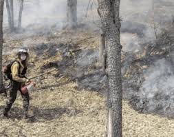 Dormant-season grazing is a win for all, Extension researcher shows