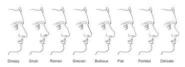 Nose Types In 2019 Nose Types Different Nose Shapes Nose