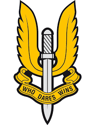 Pin On Sas