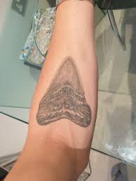 Megalodon Tooth By Ellie At The Cheshire Tattoo Studio Wilmslow Tattoos