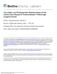 Image result for Dichilus lebeckioides