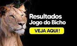 resultado do jogo do bicho de ontem de hoje