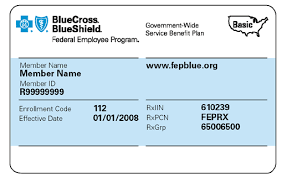 What happens if i lose my current job while an eu blue card. Https Www Bcbsnm Com Pdf Quick Guide Member Cards Pdf
