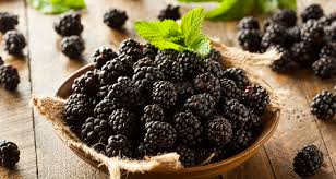 Berry mint moonshine is one of the various flavors of moonshine you can distill in red dead online. How To Identify Common Wild Berries Farmers Almanac