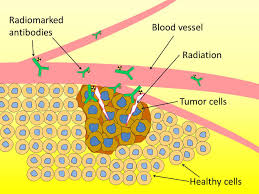 There are four triplicities in astrology that are grouped by their element. Astatine An Ally Against Cancer Cnrs News