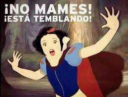 Aquellos que ya tienen una licencia registrada pueden actualizar el programa desde la interfaz. Chilango Memes Para El Temblor