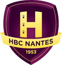 Offre d'emploi valide et non valide. Hbc Nantes Sport Strategies