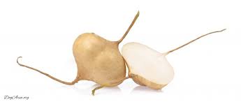 Check spelling or type a new query. 8 Benefits Which Highlight Dogs Can Eat Jicama Dogarea