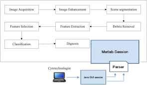 Other sexually transmitted infections their risk of having cervical cancer is so low, on occasion we may just elect to repeat a pap test in. The Approach To Achieve Cervical Cancer Detection From Pap Smear Images Download Scientific Diagram
