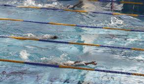 Elisa klum kennt das phänomen: Kita Kinder In Halle Sollen Schwimmen Lernen Du Bist Halle