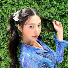 red velvet icons' joy