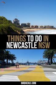 31 Fun Things To Do In Newcastle Nsw Sydney Australia Travel Australia Vacation Australia Travel