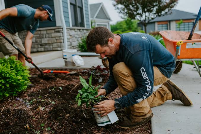 Professional shrub planting and border landscaping in New Eltham SE9