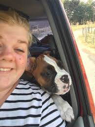 Any advice for a first-time dog owner?