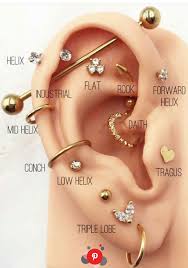Pircing Ear Piercings Piercings Multiple Ear Piercings Pircing Ear Piercings Piercings Multi In 2020 Cool Ear Piercings Ear Piercings Chart Earings Piercings