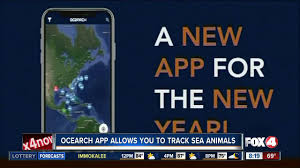 The new ocearch shark tracker lets you observe the migrations. Ocearch App Allows You To Track Sharks And Other Sea Animals Youtube