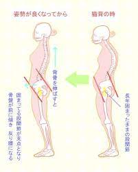 寝起きの腰痛は 反り腰 が原因だった 簡単に腰痛を治す方法もご紹介 反り腰 改善 腰痛 腹筋 腰痛