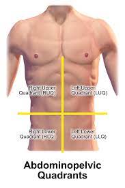 The four main abdominal muscle groups that combine to completely cover the internal organs include: Experiencing Pain In Lower Left Abdomen 9 Possible Causes Buoy