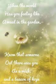 Dandelion Quotes Google Search Dandelion Quotes Dandelion How Are You Feeling
