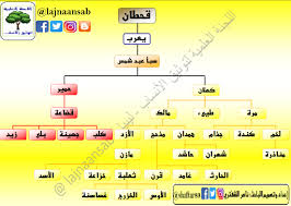 شجرة قبيلة عسير